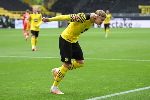 的中坚力量 的中坚力量