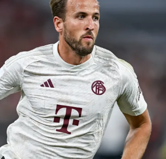 的队友们正 的队友们正